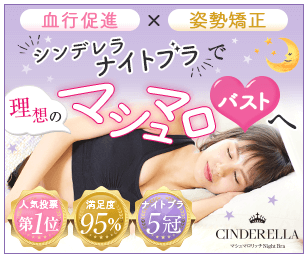 シンデレラマシュマロリッチナイトブラ 販売店